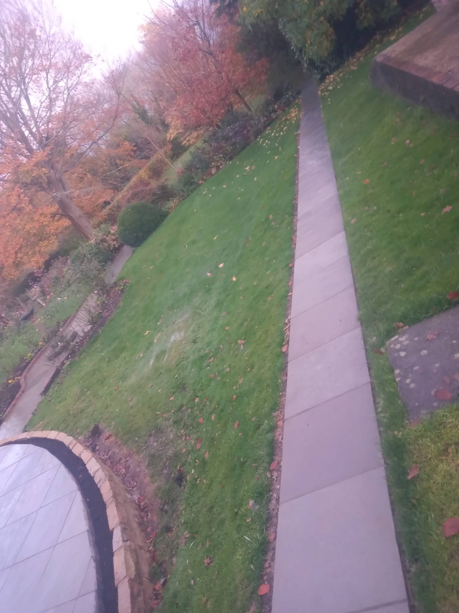 Aerial view of curved patio with pathways and autumn trees