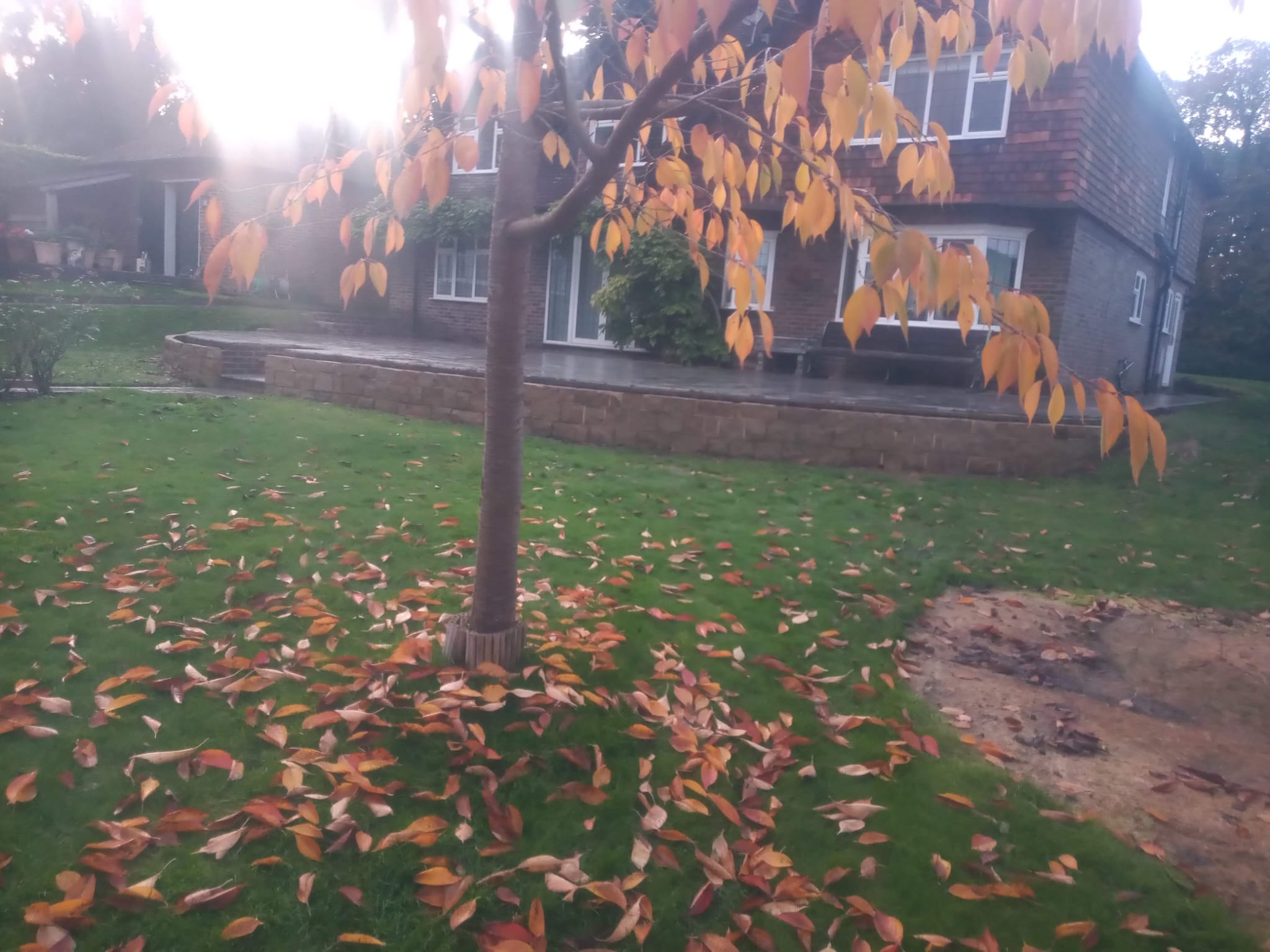 Raised curved patio with stone retaining wall in autumn garden